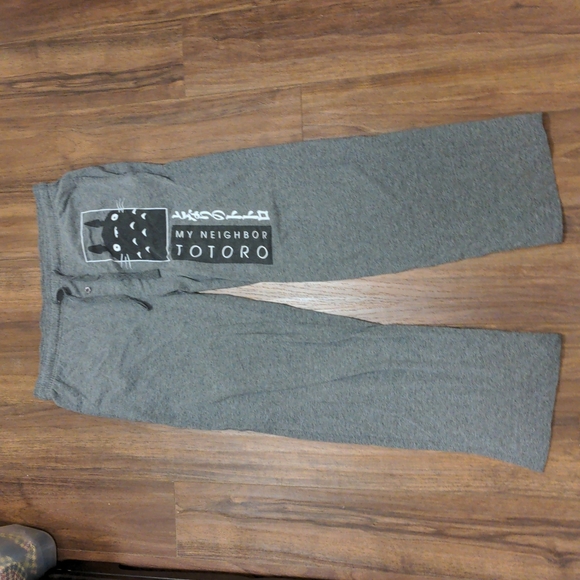 Hot Topic Other - Hot Topic Totoro Studio Ghibli Jogger Lounge Pants